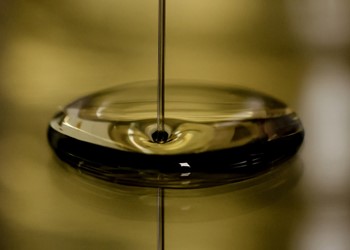 Dsa Image (1)